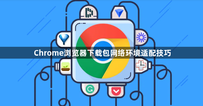 Chrome浏览器下载包网络环境适配技巧1