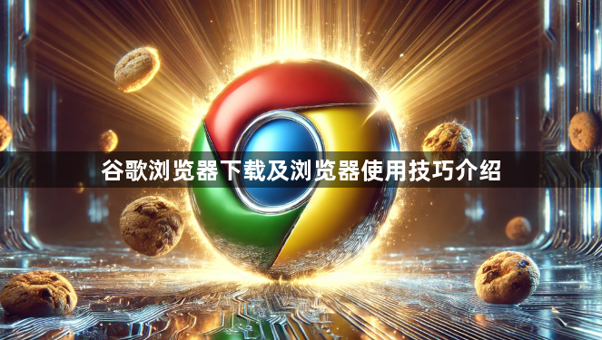 谷歌浏览器下载及浏览器使用技巧介绍1