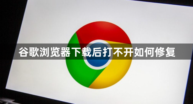 谷歌浏览器下载后打不开如何修复1