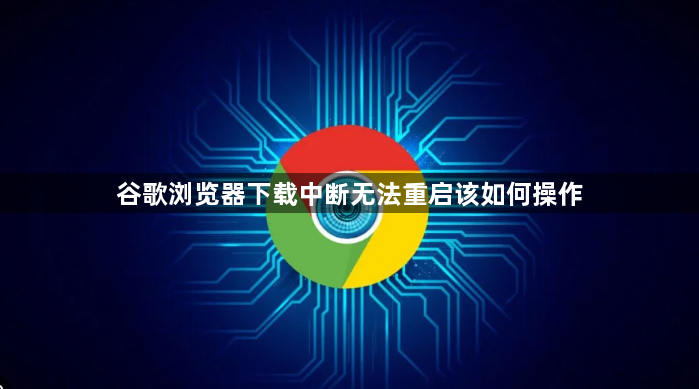 谷歌浏览器下载中断无法重启该如何操作1