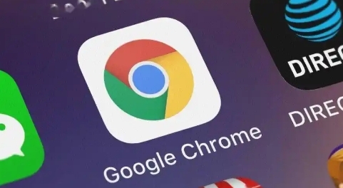 Google Chrome插件优化网页资源分配
