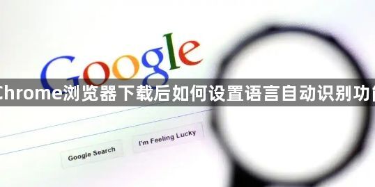 Chrome浏览器下载后如何设置语言自动识别功能1