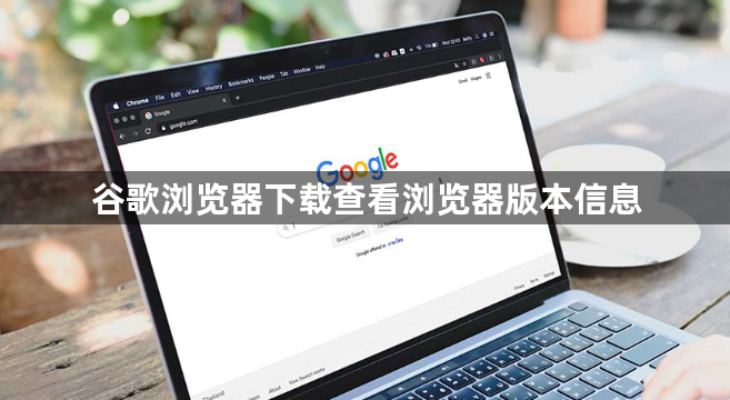 谷歌浏览器下载查看浏览器版本信息1