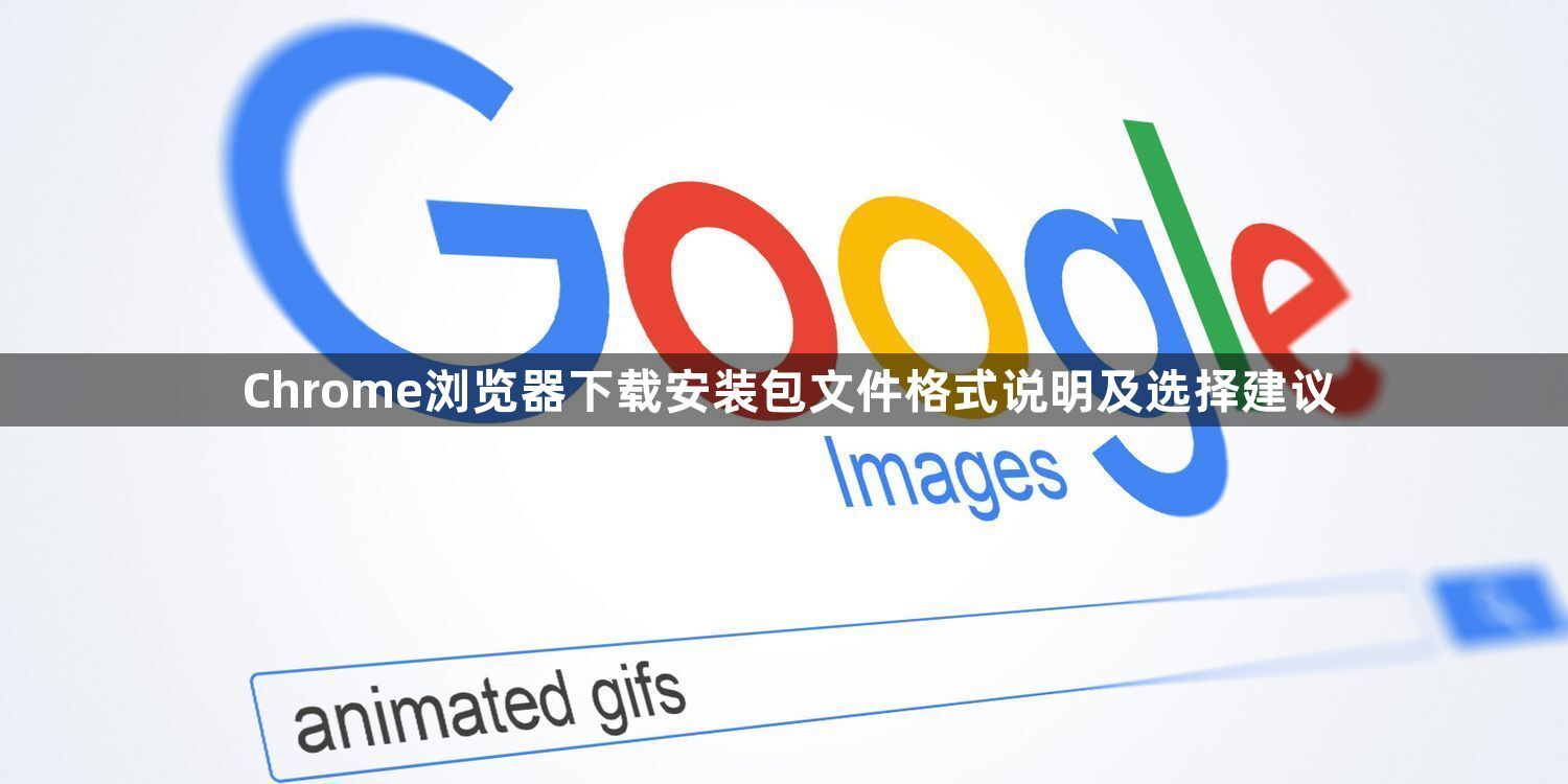 Chrome浏览器下载安装包文件格式说明及选择建议1