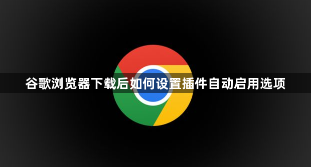 谷歌浏览器下载后如何设置插件自动启用选项1
