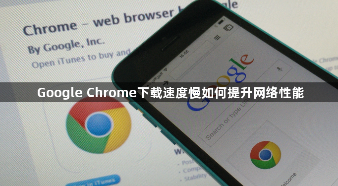 Google Chrome下载速度慢如何提升网络性能1