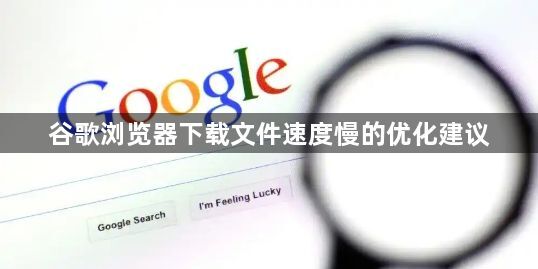 谷歌浏览器下载文件速度慢的优化建议1