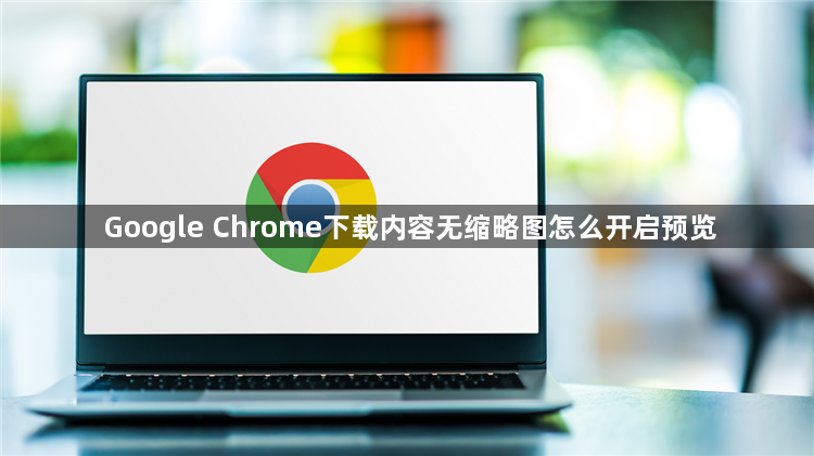 Google Chrome下载内容无缩略图怎么开启预览1
