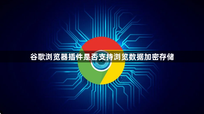 谷歌浏览器插件是否支持浏览数据加密存储1