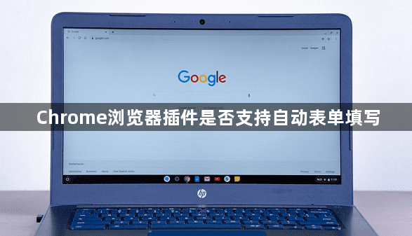 Chrome浏览器插件是否支持自动表单填写1