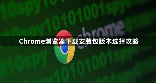 Chrome浏览器下载安装包版本选择攻略1