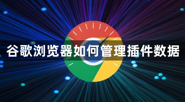 谷歌浏览器如何管理插件数据1