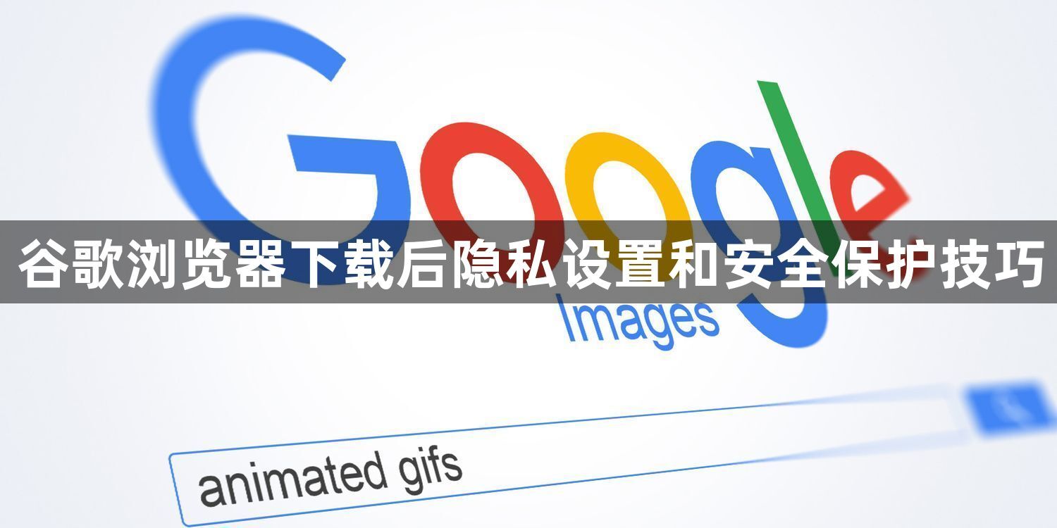 谷歌浏览器下载后隐私设置和安全保护技巧1