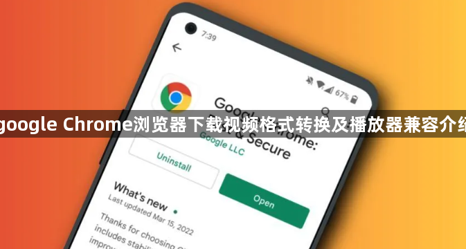 google Chrome浏览器下载视频格式转换及播放器兼容介绍1