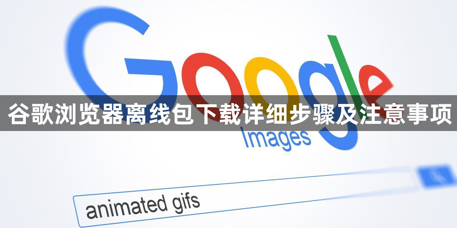 谷歌浏览器离线包下载详细步骤及注意事项1