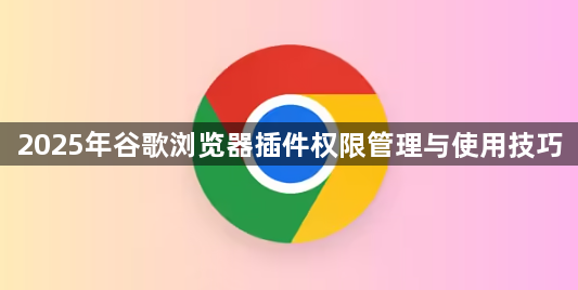 2025年谷歌浏览器插件权限管理与使用技巧1
