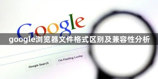 google浏览器文件格式区别及兼容性分析1
