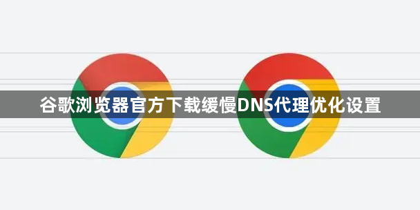 谷歌浏览器官方下载缓慢DNS代理优化设置1